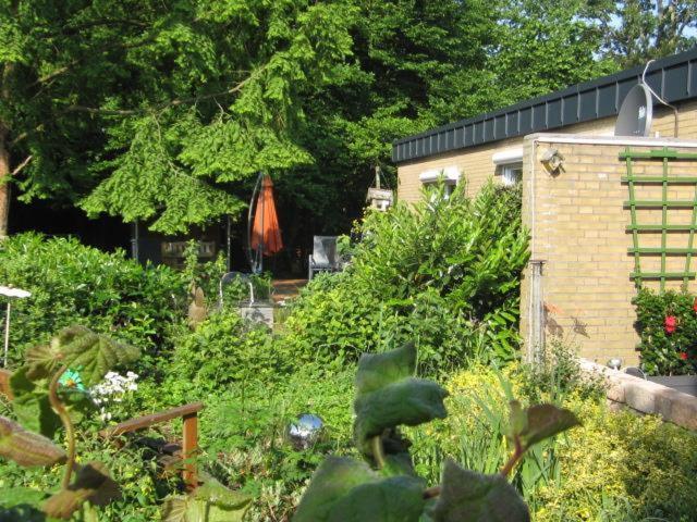 Ferienhaus "Pusteblume" Bad Zwischenahn Extérieur photo